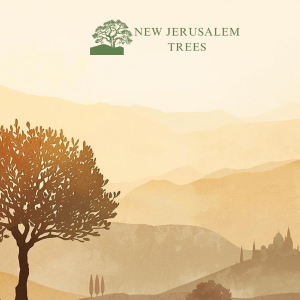 Gift a Tree in the Holy Land - Style 1