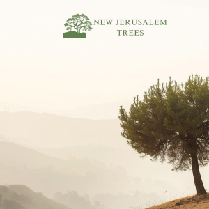 Plant a Tree in Memory - Style 1