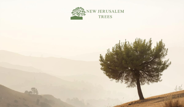 Plant a Tree in Memory - Style 1